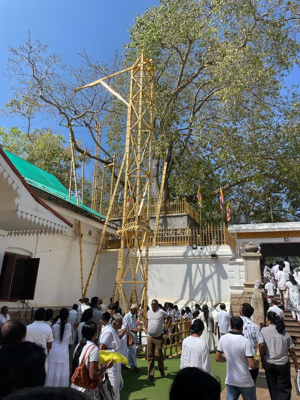 පළමු විනෝද චාරිකාව සහ සභා රැස්වීම — අනුරාධපුරය — photo 4