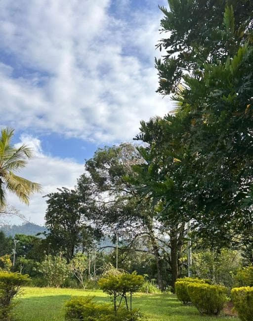 Second Fraternity Trip 2026 — Kothmale (Malaya Ratata) — photo 15